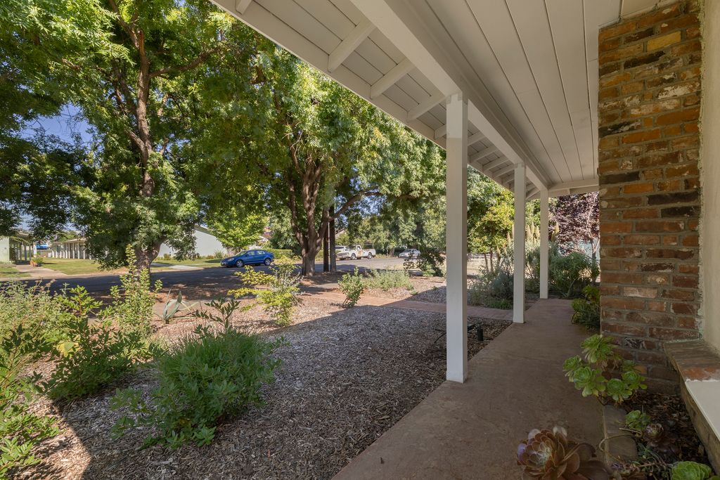 1245 Palm Ave - 007 (Photos)