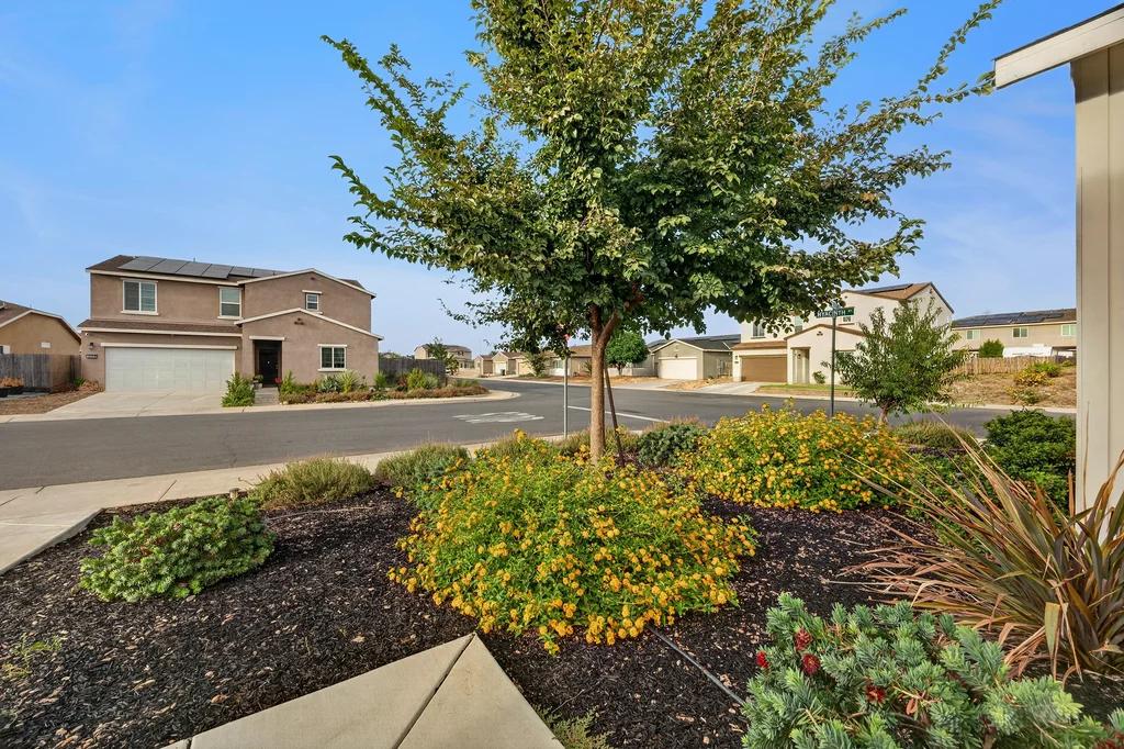 3158 Violet Ct - 006 (Photos)