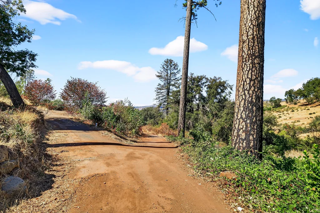 685 Van Fossen Rd - 003 (Photos)