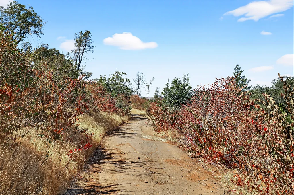 685 Van Fossen Rd - 004 (Photos)