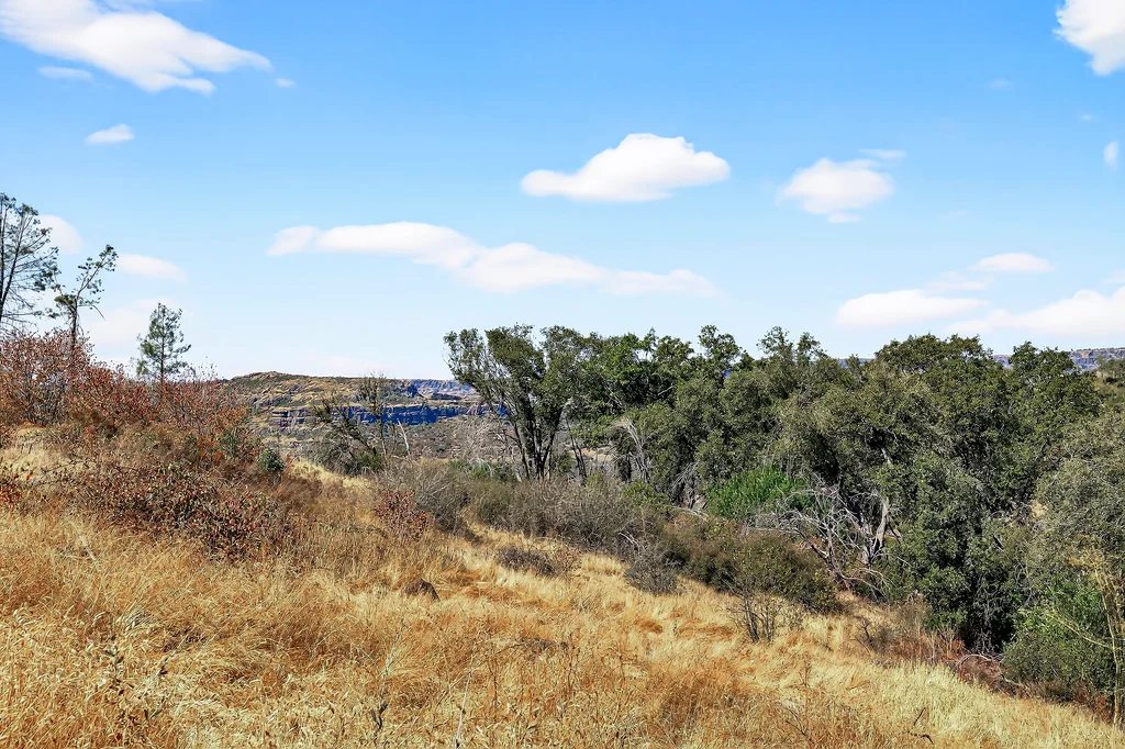 685 Van Fossen Rd - 005 (Photos)
