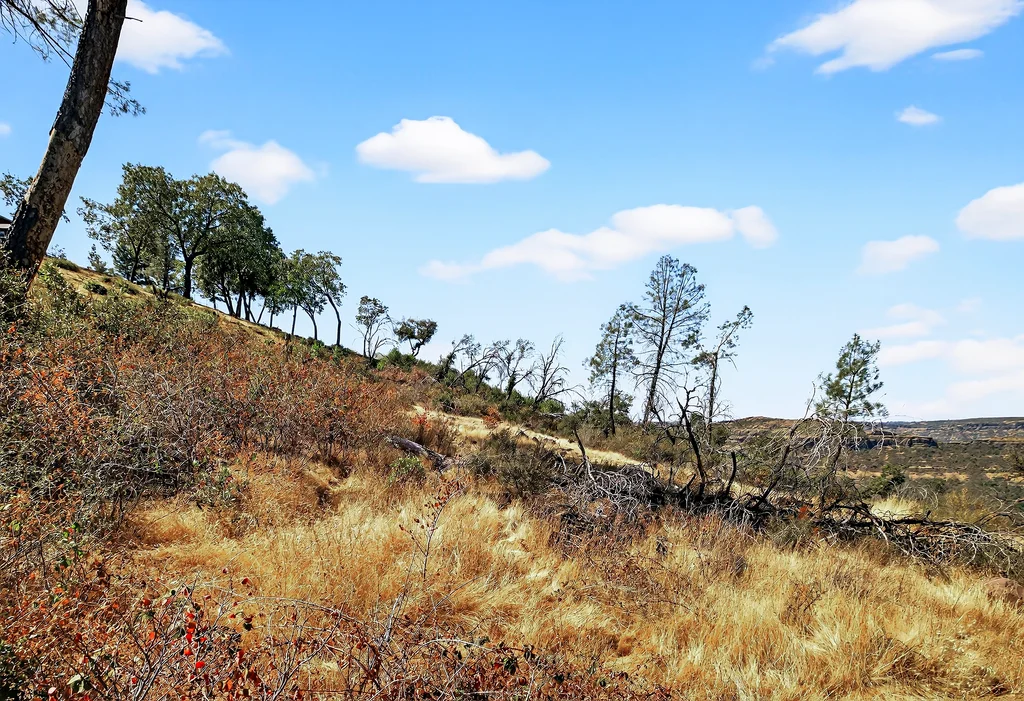 685 Van Fossen Rd - 010 (Photos)