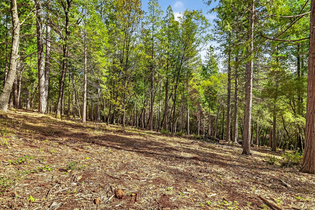 APN# 063-200-006-000 - 007 (Photos)