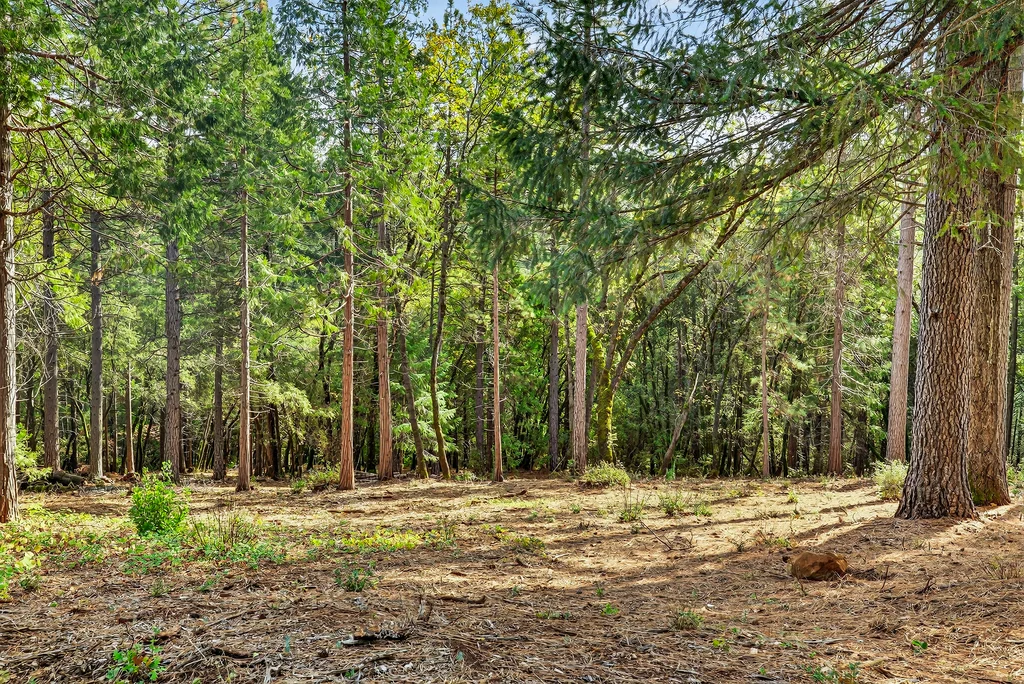 APN# 063-200-006-000 - 009 (Photos)