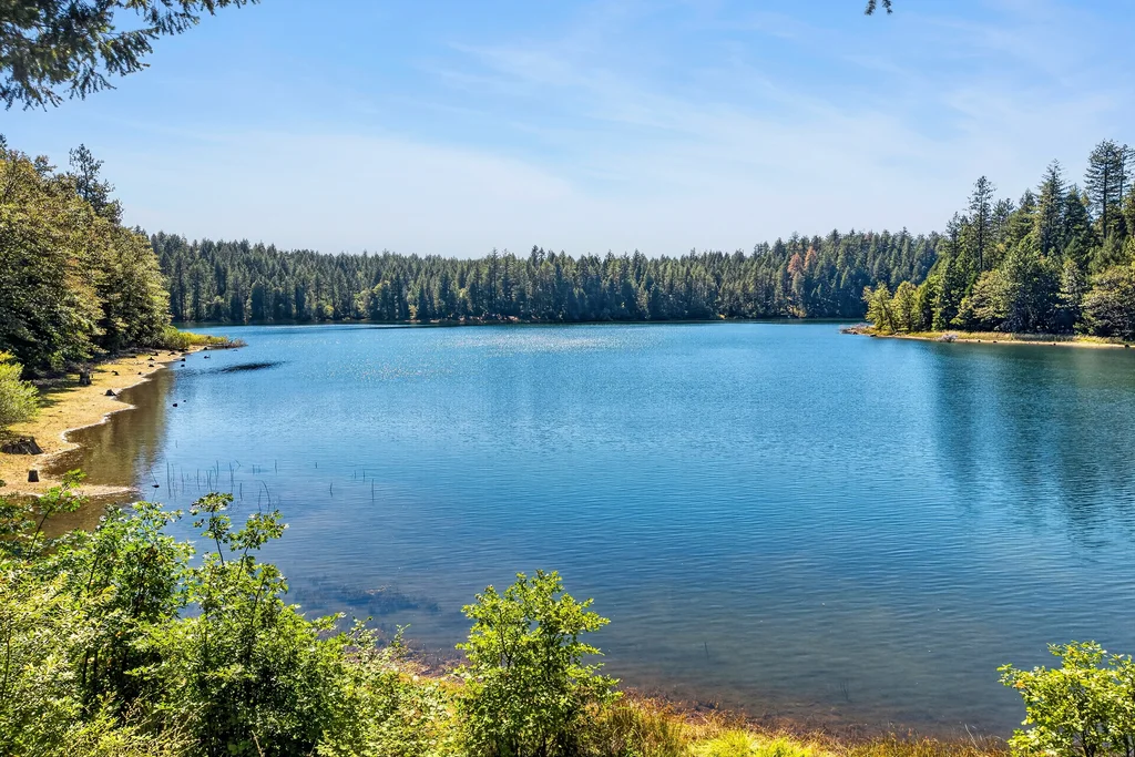 45 Lakevista Dr - 198 (Photos)
