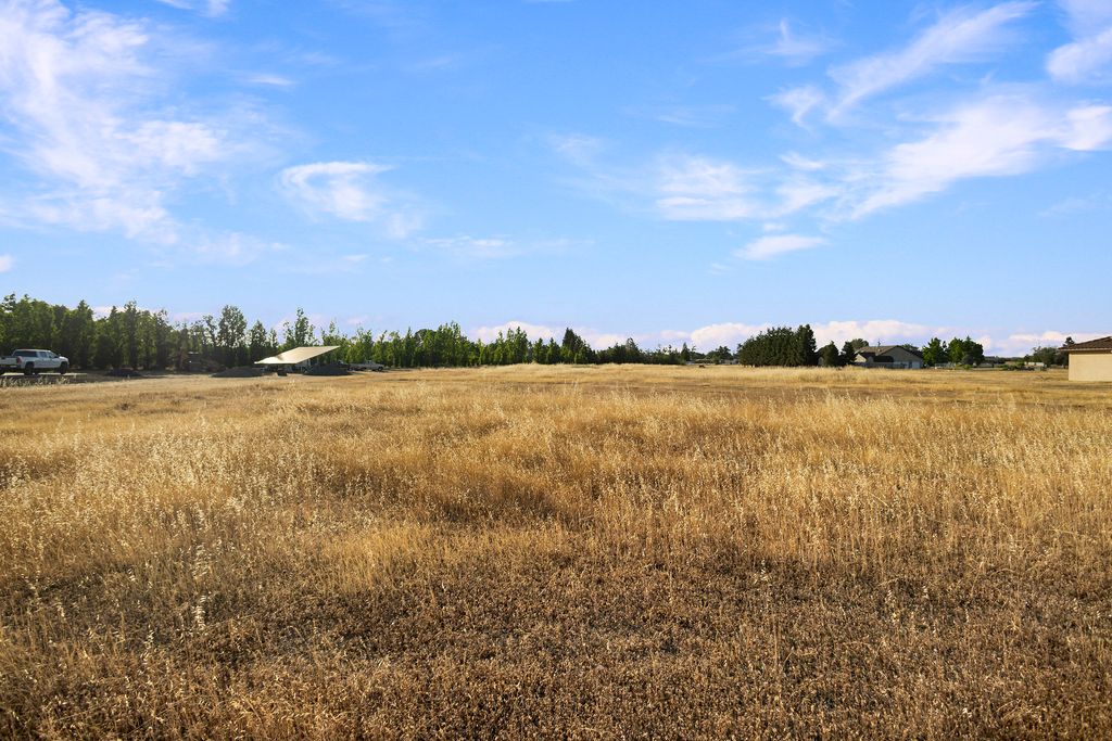 6690 Co Rd 21 - 004 (Photos)