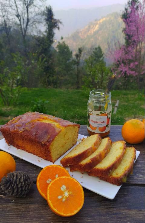 Zesty Malta Orange Marmalade Cake