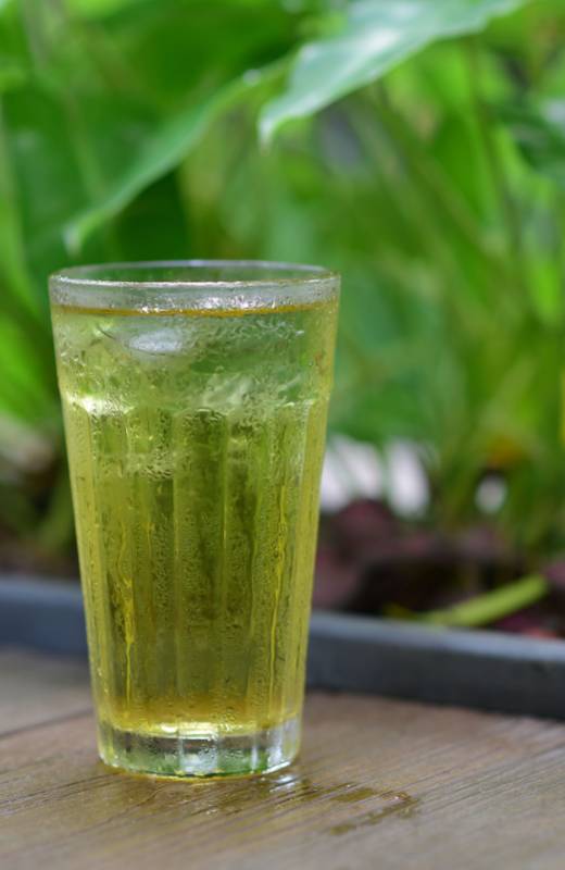 Sun-Brewed Peppermint Lemongrass Iced Tea