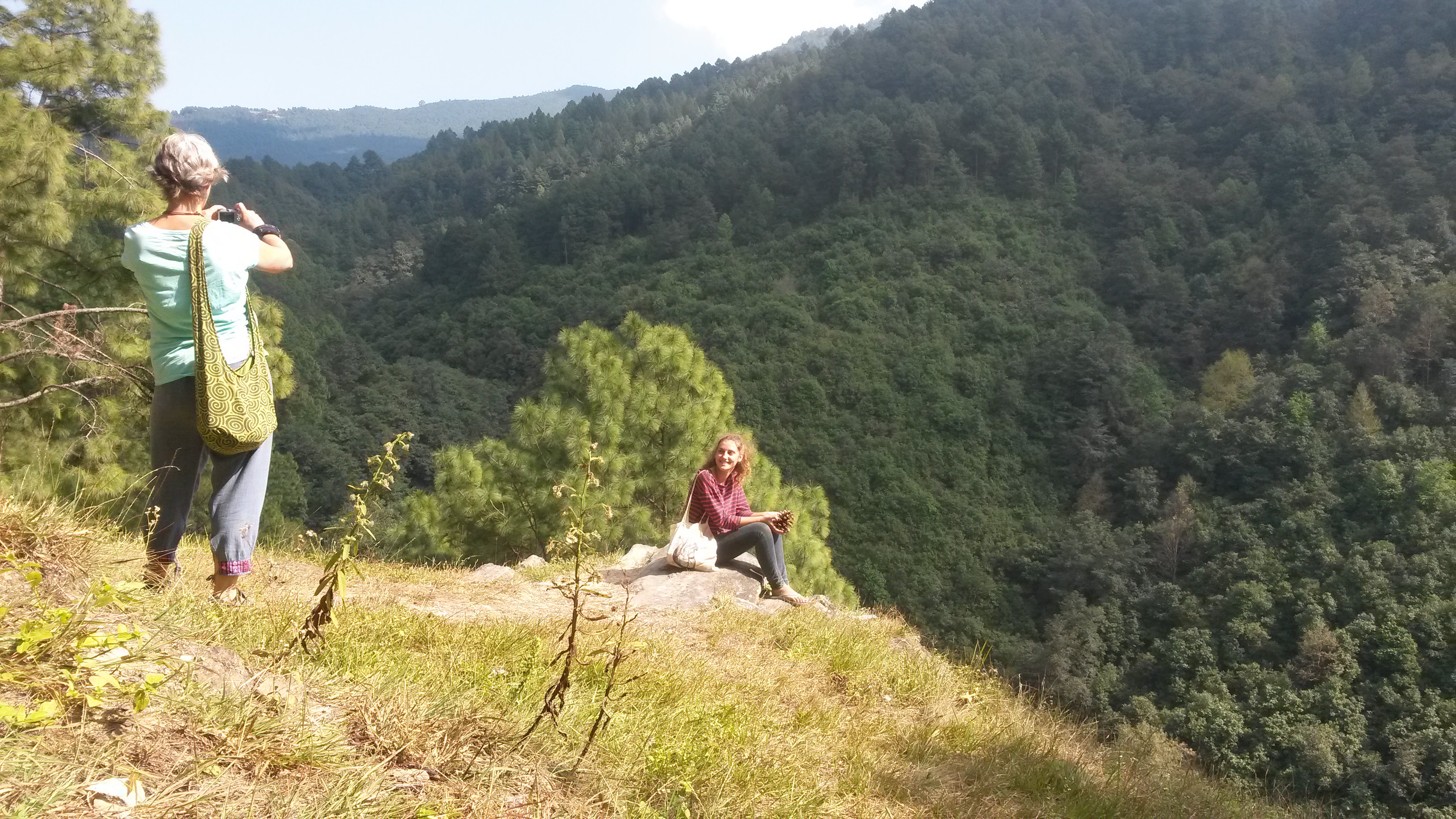 Volunteers enjoying the view at a plantation site