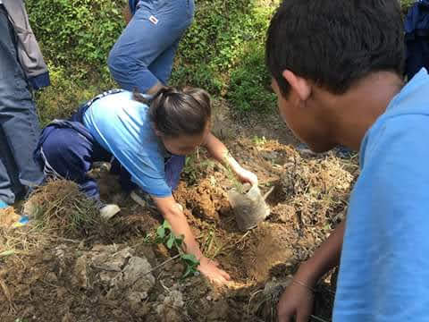 Kids planting trees