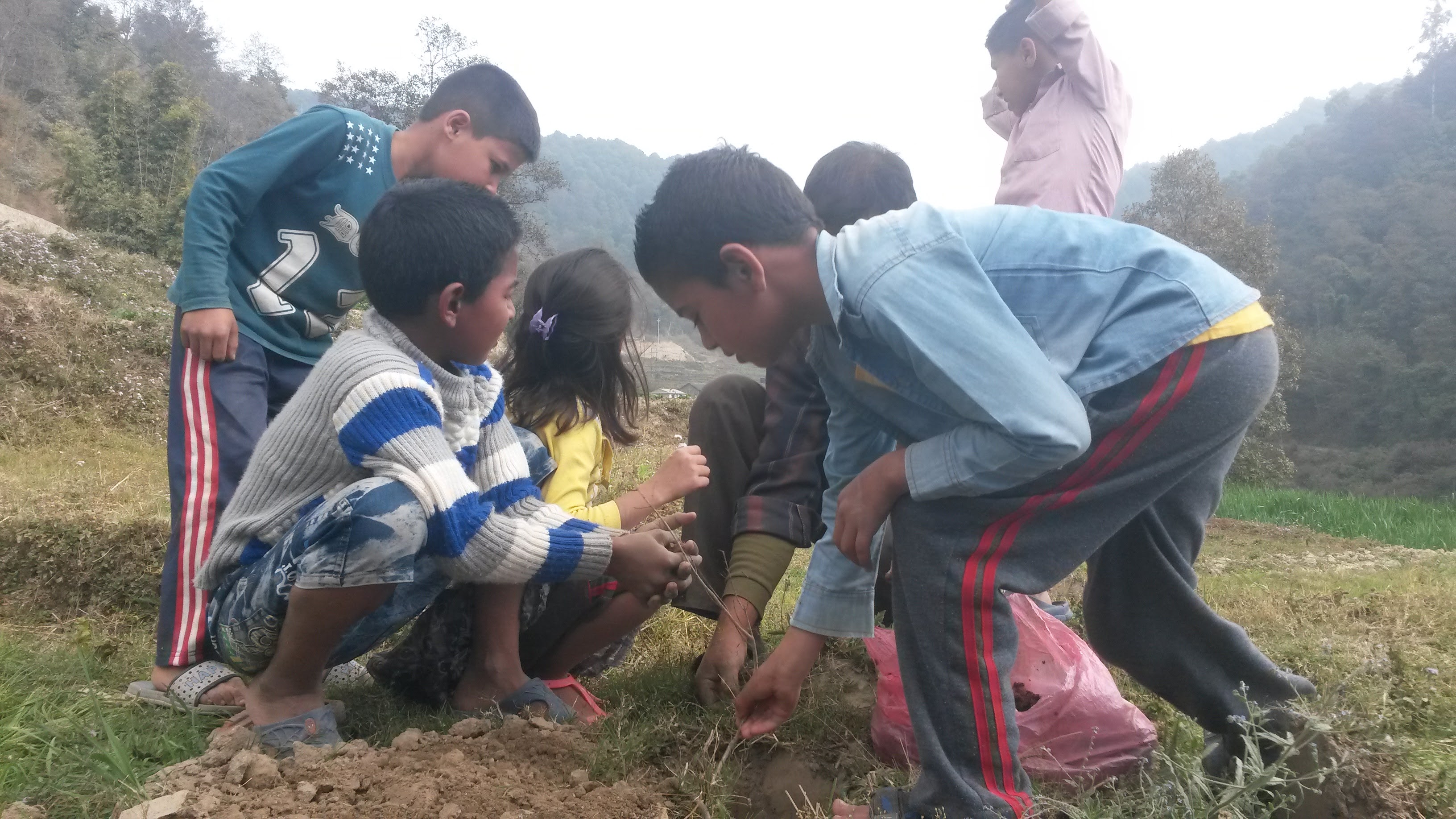 Kids enjoying plantation at Nagarkot Community Homestay