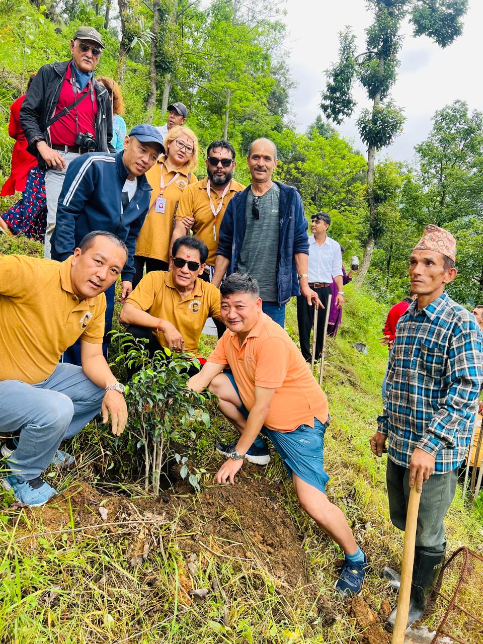 Volunteers posing with a newly planted tree