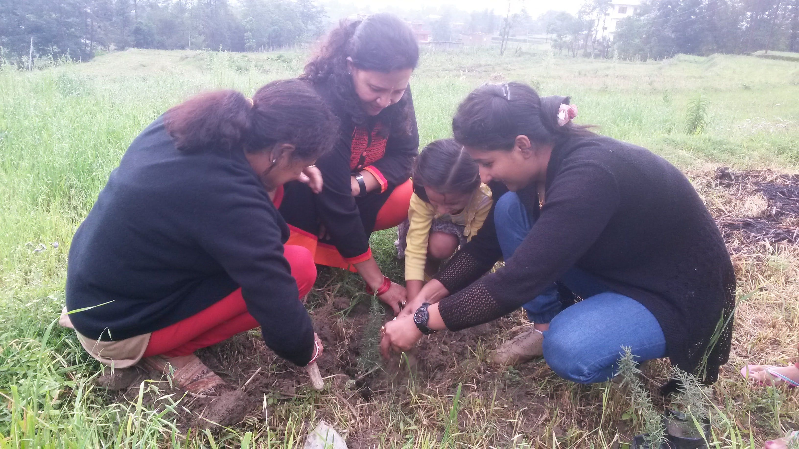 Tree planting as part of the One Million Trees Challenge