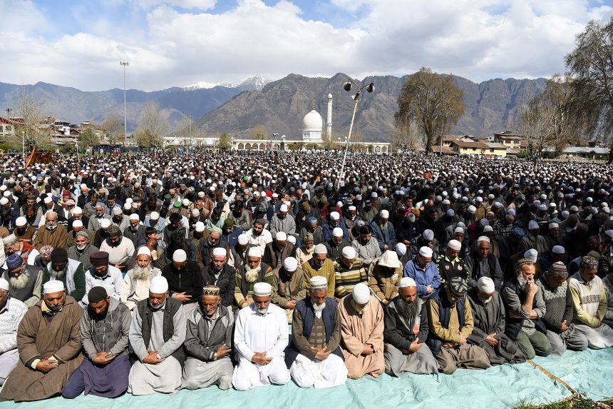 Tulip Festival in Kashmir