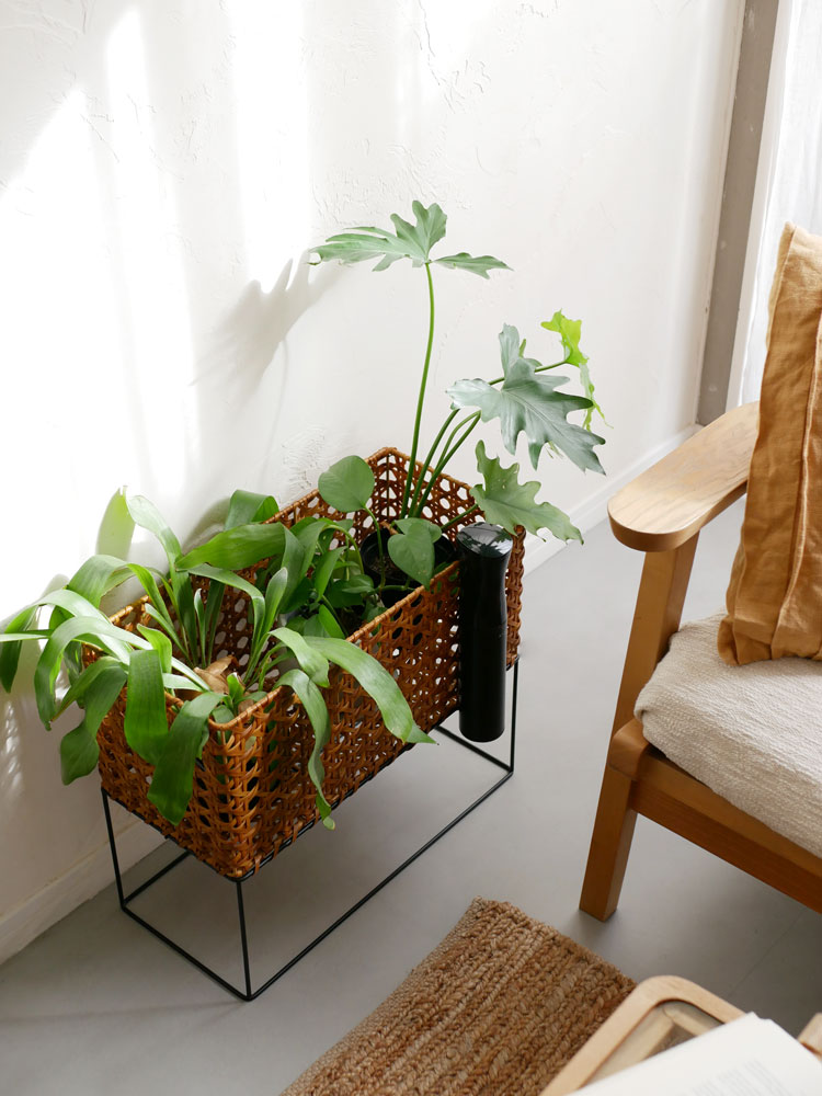 籐製の収納バスケットに花鉢とハウスプラントが配置されたデザイン