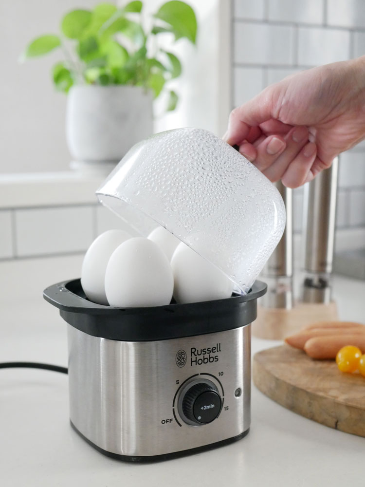 クイックミニスチーマーと新鮮な食材がキッチンカウンターに並べられている様子