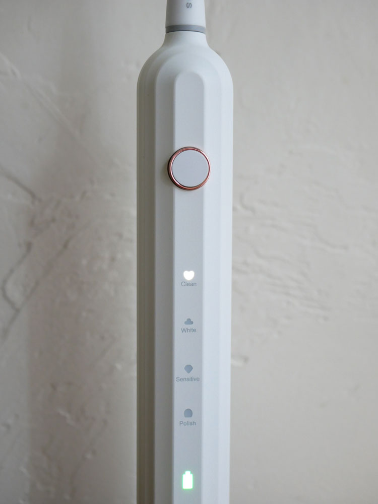 エペイオス Okare 音波電動歯ブラシ本体、替えブラシヘッド、携帯用ケースのセット