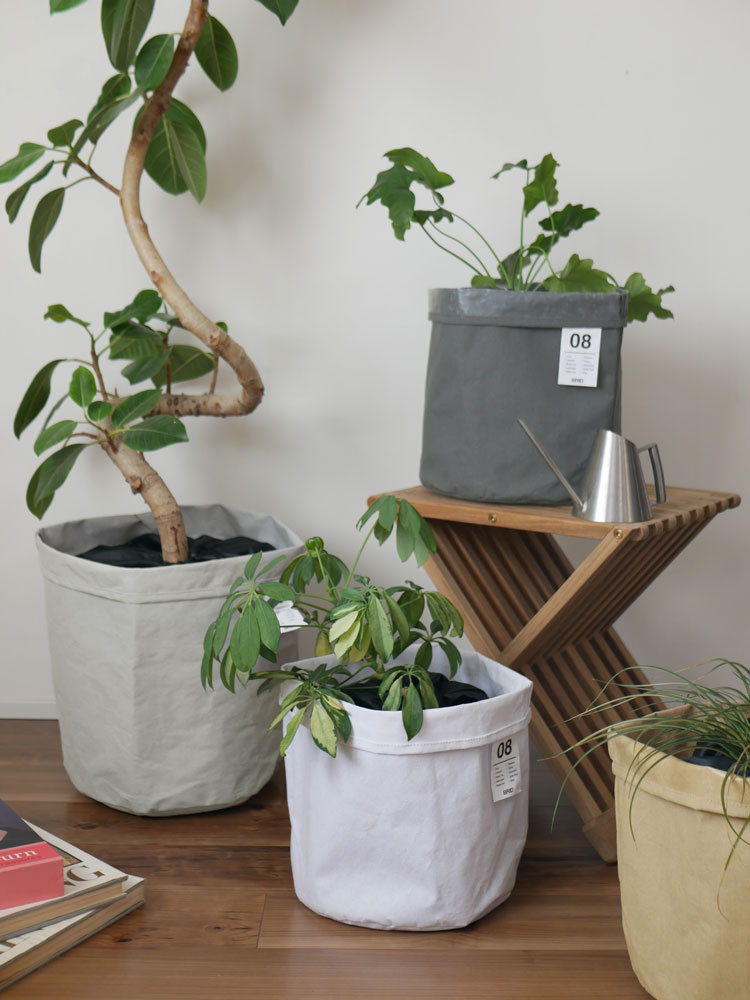 ナチュラル素材の収納バスケット内に置かれた土隠しプランツカバーで覆われたハウスプラント