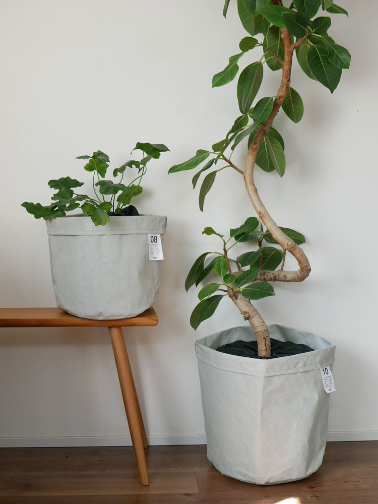 【BRID/ブリッド】土が隠せるプランツカバーを使用した観葉植物の鉢