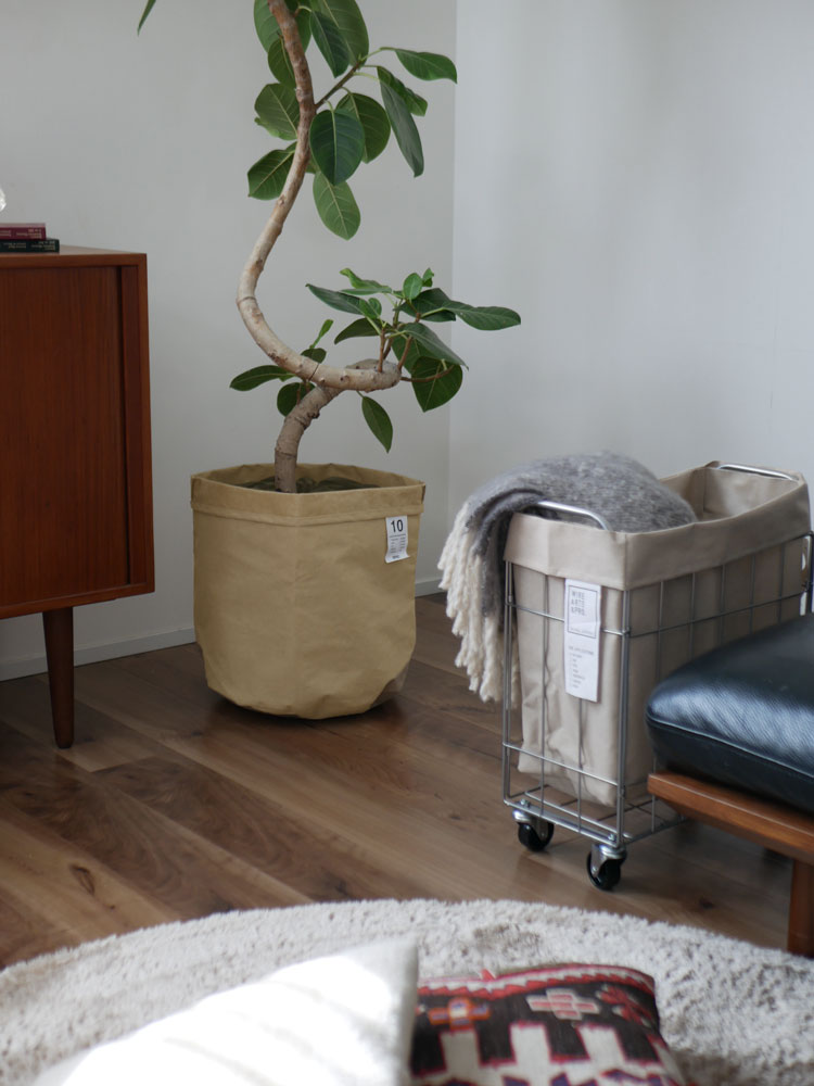 リビングルームの椅子の上に置かれた土隠しプランツカバー付きの鉢植え