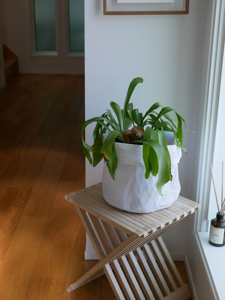 ブラウン色の【BRID/ブリッド】土が隠せるプランツカバーが木製の家具の上に置かれ、ハウスプラントを美しく演出している様子