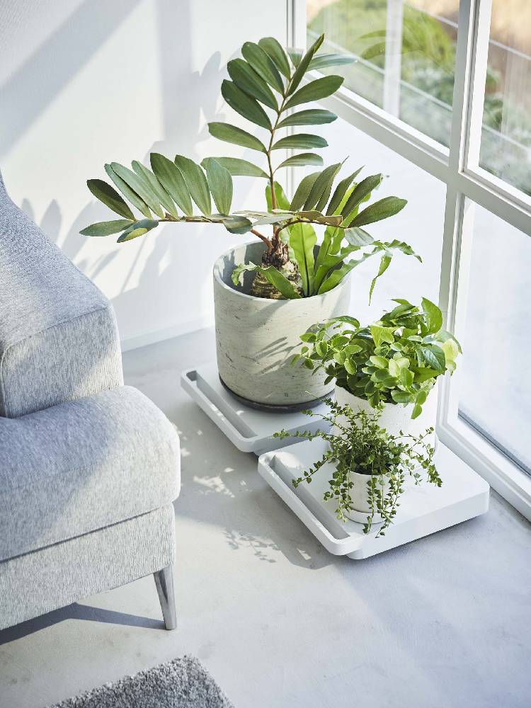 自立する正方形台車に花鉢やハーブなどの植物が配置された画像