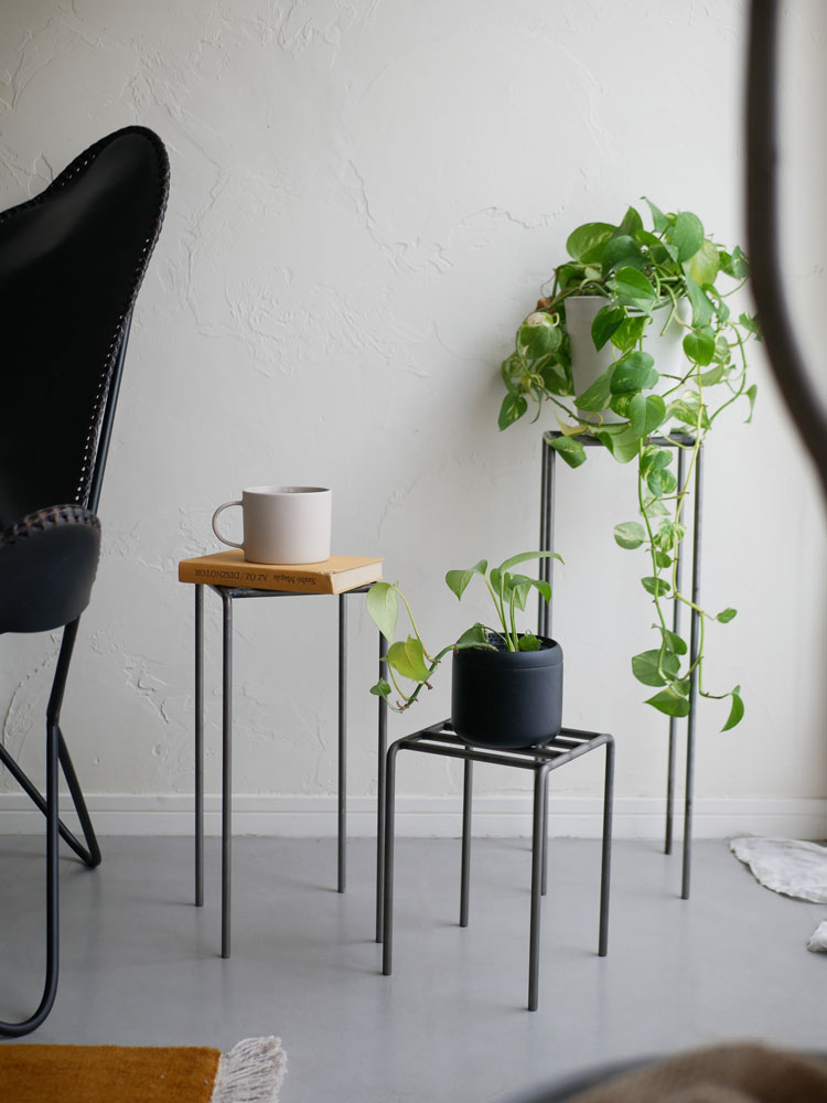 アイアン製ディスプレイプラントスタンドに花鉢が置かれ、観葉植物が飾られている様子