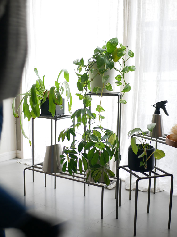 ウエストビレッジトーキョー製アイアンKNOPプラントスタンドに配置されたゼラニウムとハーブの鉢植え