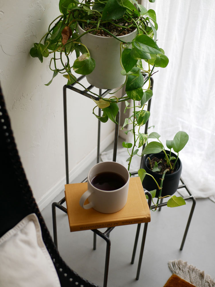 WEST VILLAGE TOKYOのアイアン製KNOPプラントスタンドにゼラニウムとハーブが配置された画像