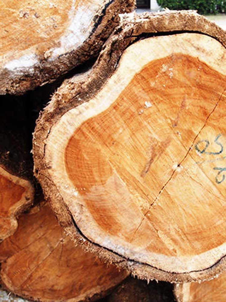 天然チーク無垢材を使用したサンフラワーラタンのHOKOSチークラウンドダイニングテーブルのクローズアップ写真