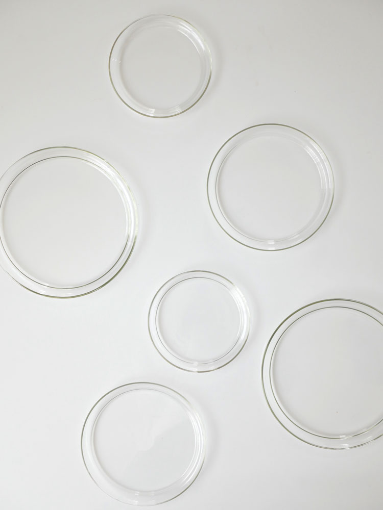 トレンドグラス イエナの透明なホウケイ酸ガラス製プレート