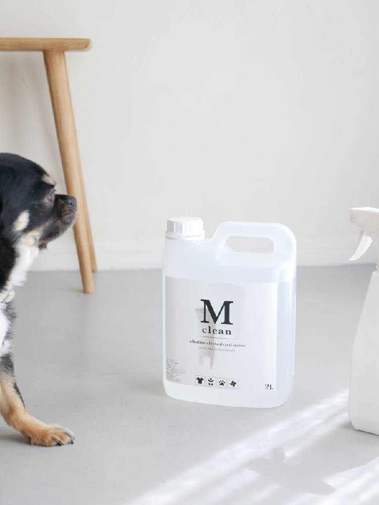 【Mclean】アルカリ電解水クリーナー2リットルのプラスチックボトル。ラベルに商品名と成分情報が記載されています。