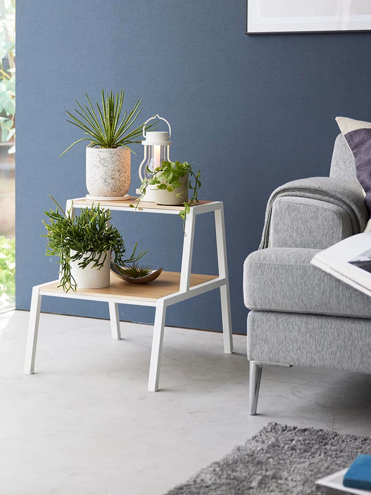 リビングルームに配置された踏み台と家具、植物の様子