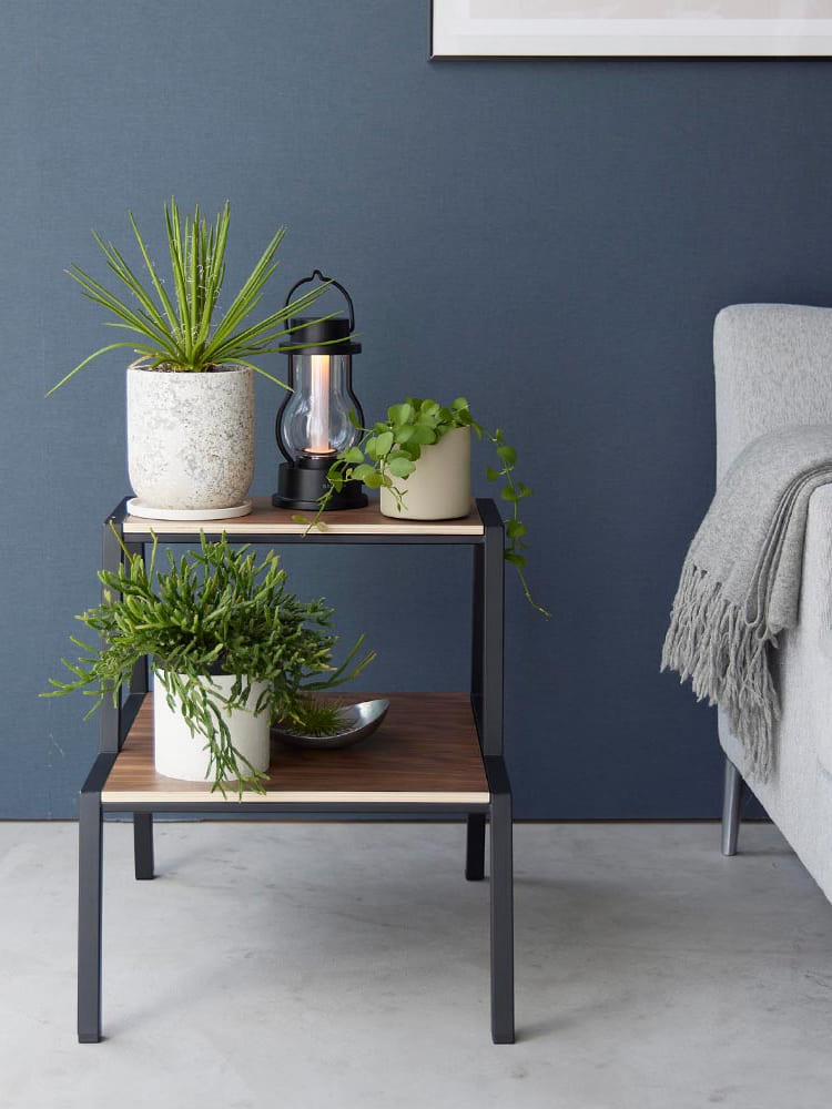 タワー踏み台と観葉植物が置かれた室内インテリア