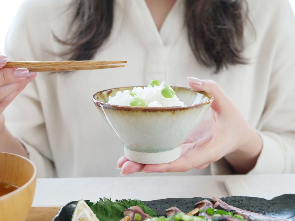 美濃焼アデペシュOTOHAボウルに白米と具材