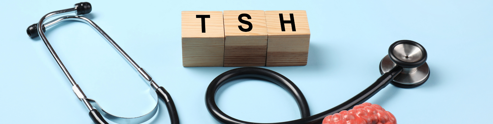 Thyroid Lab Tests Explained: TSH, Free T4, Free T3, and Antibodies