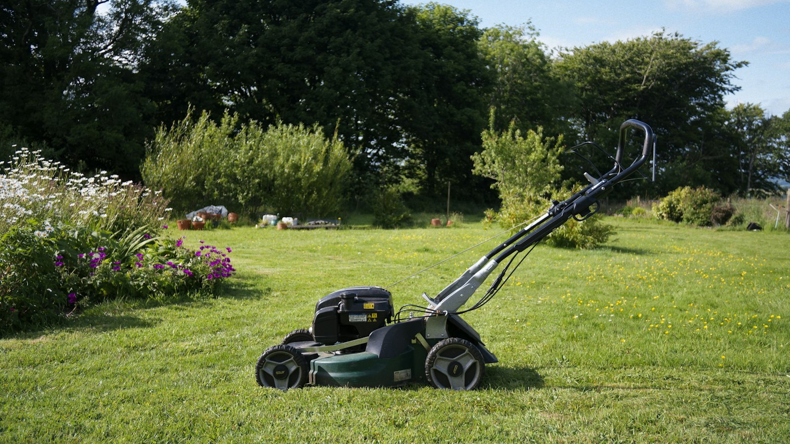 Lawn Mowing, Edging & Yard Cleanup
