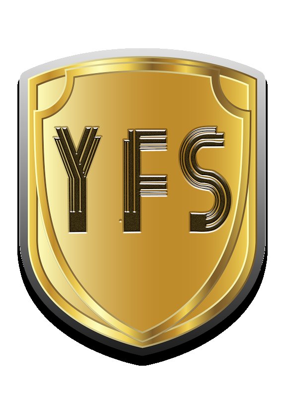 YALE FINANCIAL SERVICES INC logo