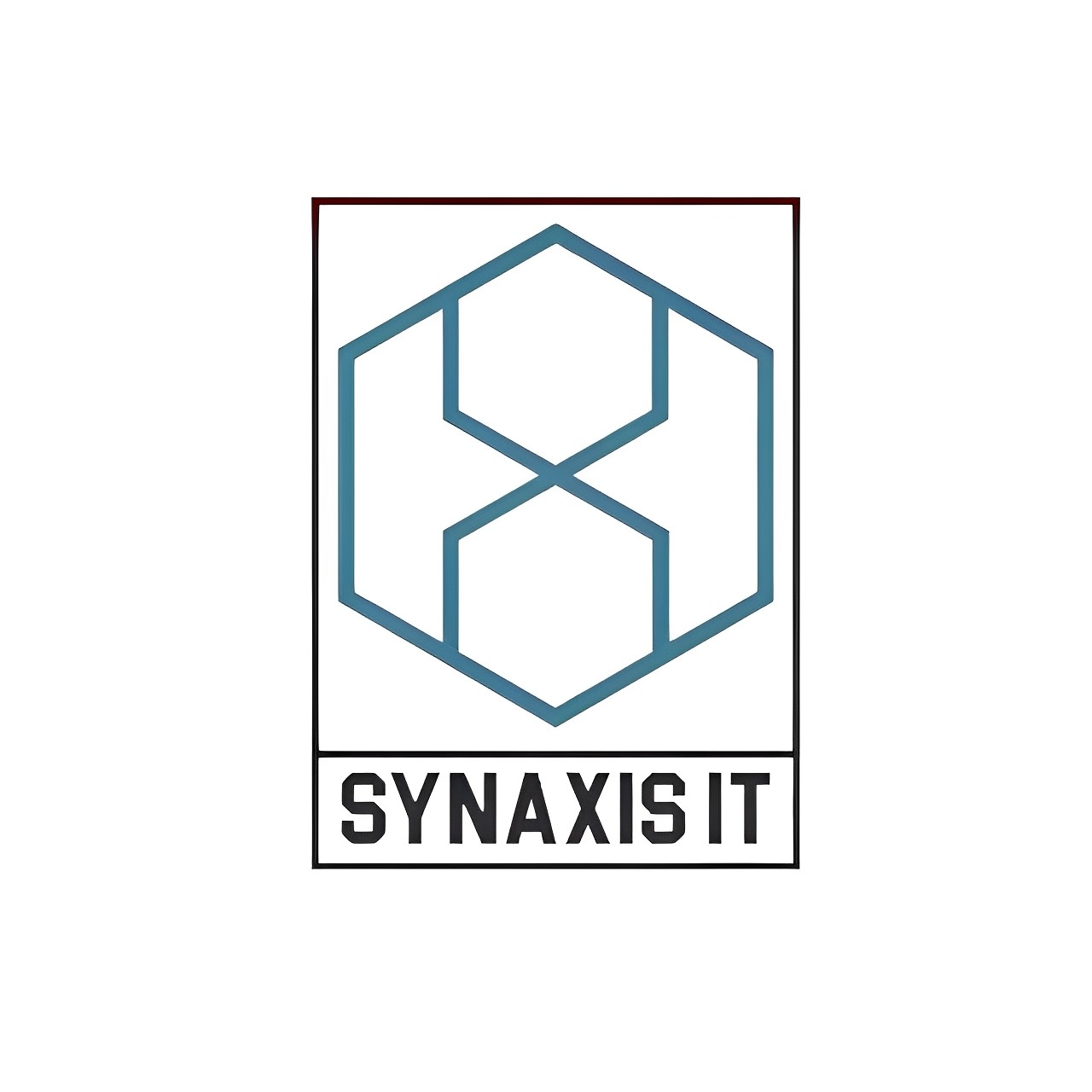 Synaxis Informatic Tech Solutions logo