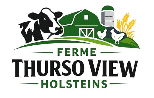 Ferme Thurso View Holsteins logo