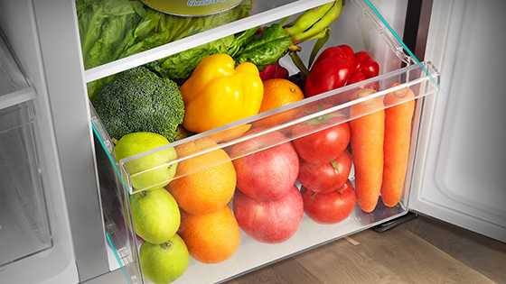 Vegetable &amp; Fruit Crisper