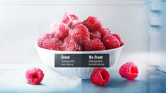 Total no Frost