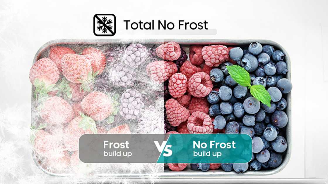Total no frost