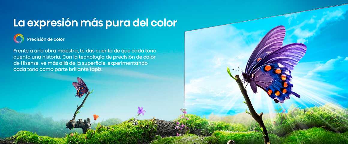 La expresi&oacute;n m&aacute;s pura del color.