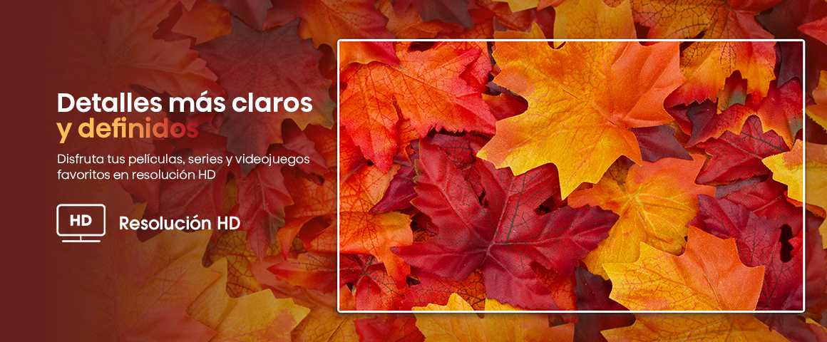 Detalles m&aacute;s claros y definidos
