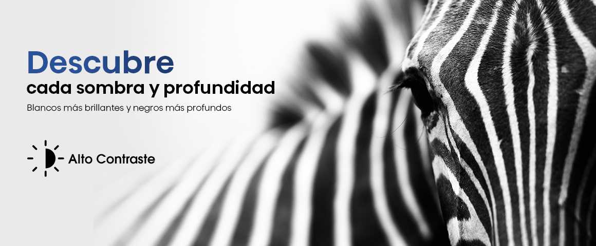 Descubre cada sombra y profundidad