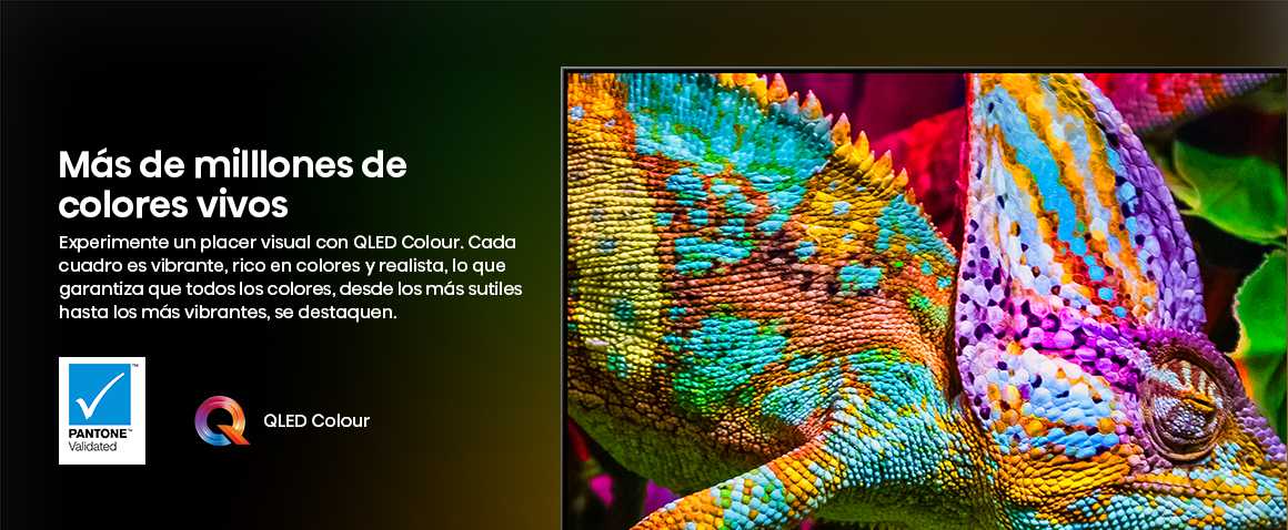 M&aacute;s de millones de colores vivos