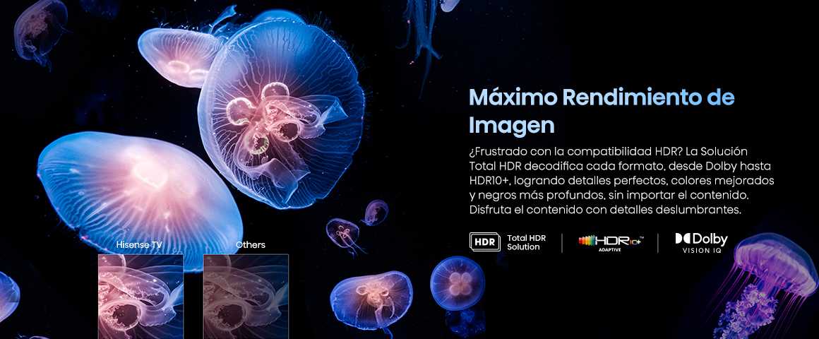 Adi&oacute;s a la frustraci&oacute;n con el HDR. Con Total HDR Solution tu TV Hisense decodifica todos los formatos, …