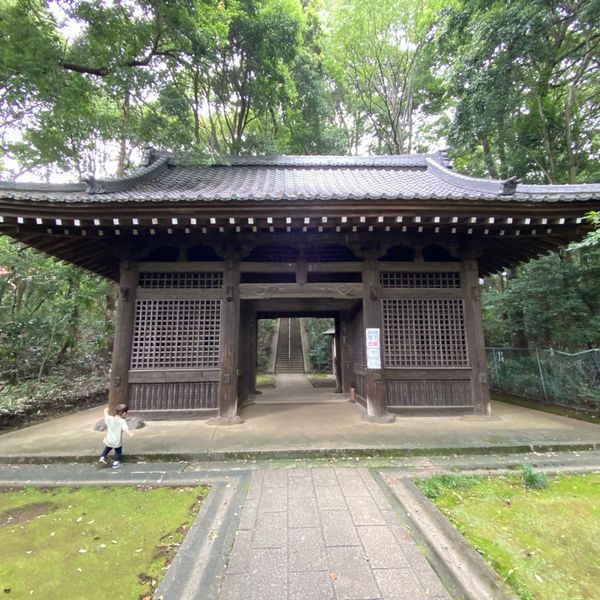 国分寺仁王門の画像