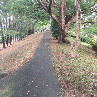 広村堤防の写真